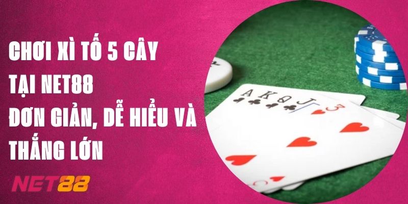 Chơi Xì Tố 5 Cây Tại Net88 – Đơn Giản, Dễ Hiểu Và Thắng Lớn